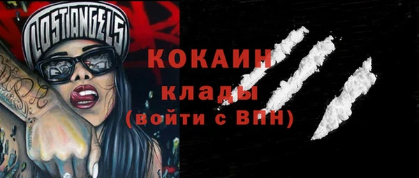 мдпв Осташков