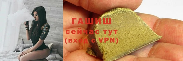 мдпв Осташков
