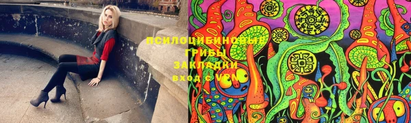 крисы Осинники