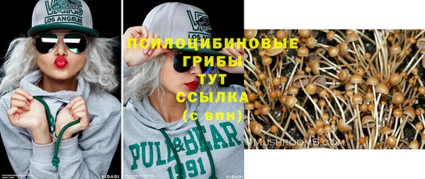 мдпв Осташков