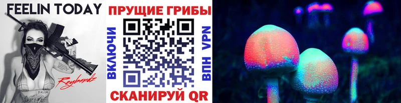 Галлюциногенные грибы Cubensis  блэк спрут зеркало  Нерчинск 